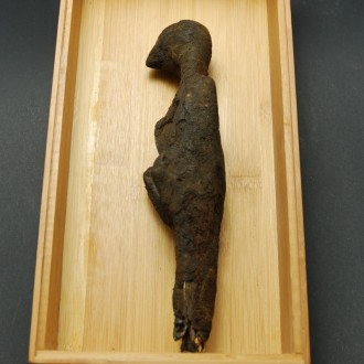 Mummified Falcon