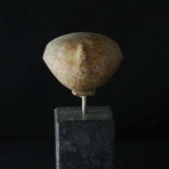 Head of a Kiliya Idol