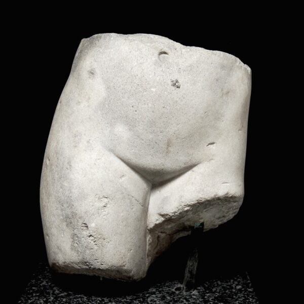 Torso of Venus Front