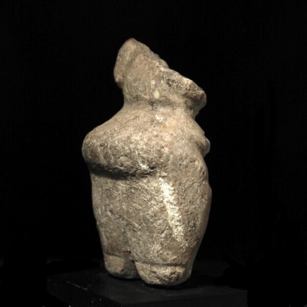 Neolithic Venus back