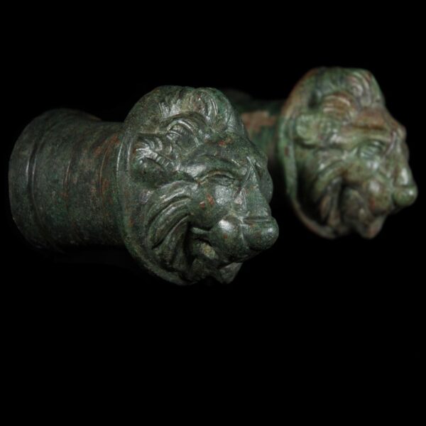 Bronze Lionheads