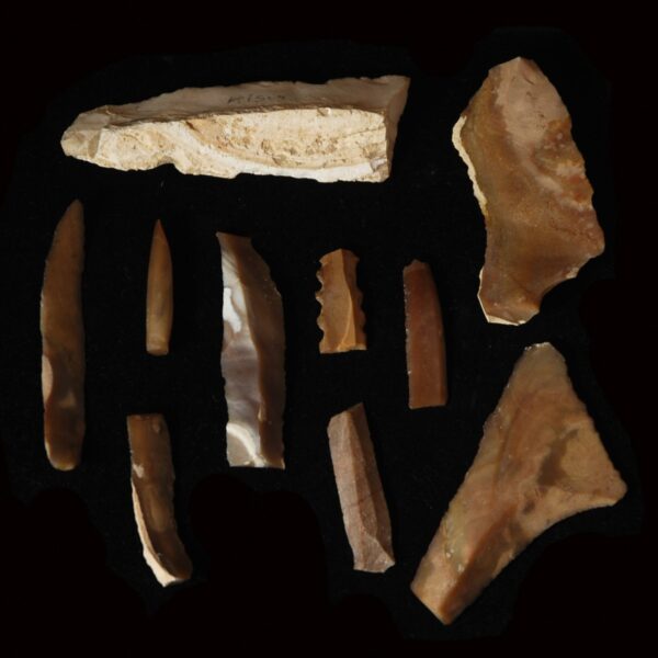 Palaeolithic Stone Blades