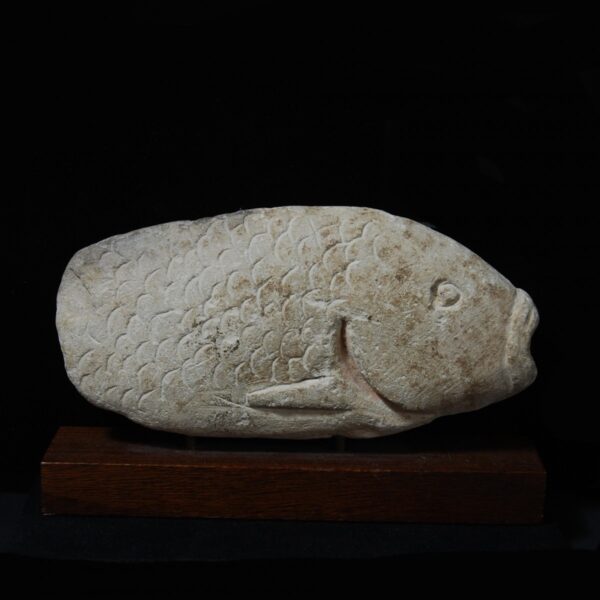 Egyptian Limestone Fish