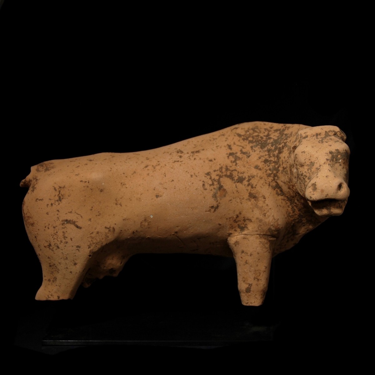 Monumental Greek Votive Cow