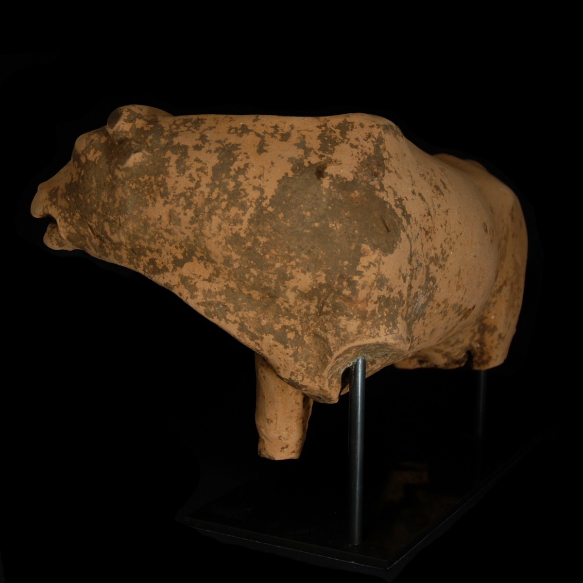 Monumental greek votive cow half back