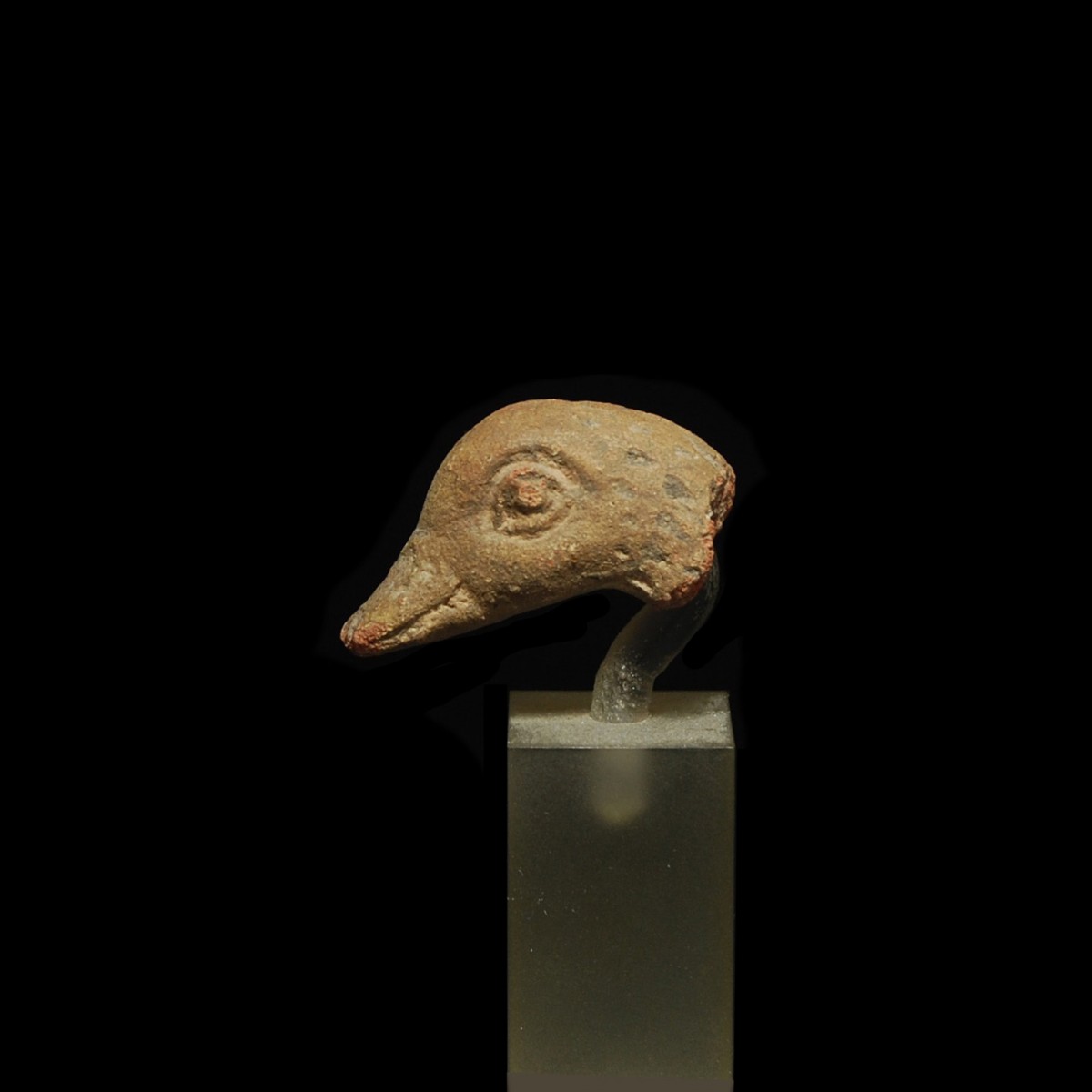 Roman Terracotta head of a duck from Alexandria