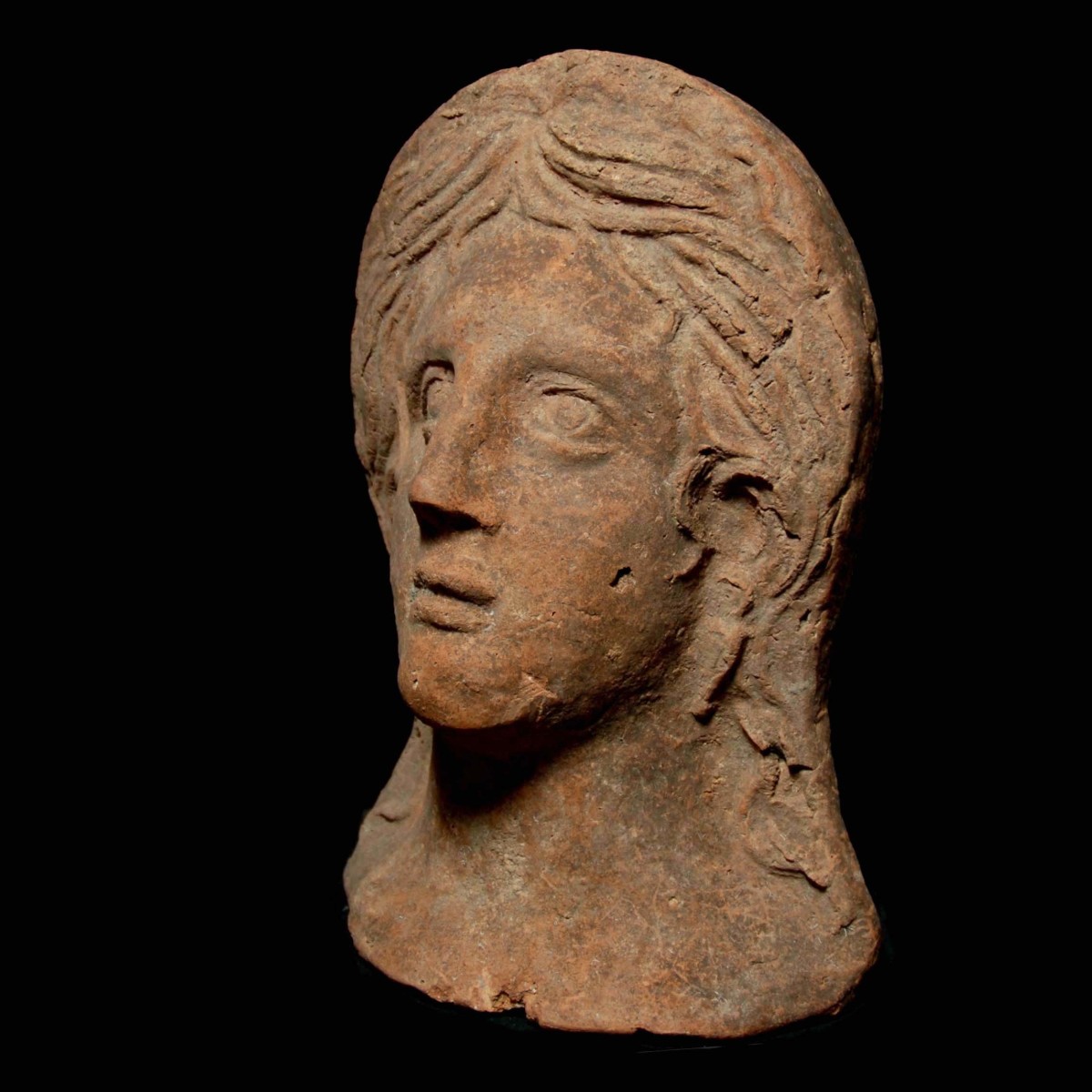 Etruscan terracotta head of a female half left