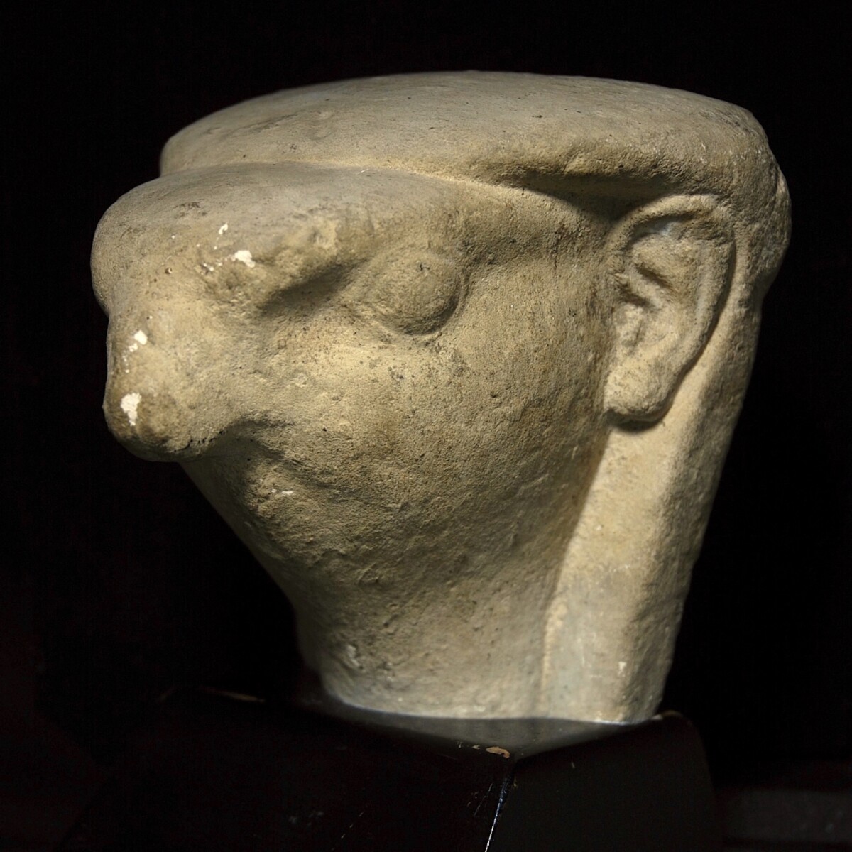 Egyptian limestone head of a falcon headed deity half left