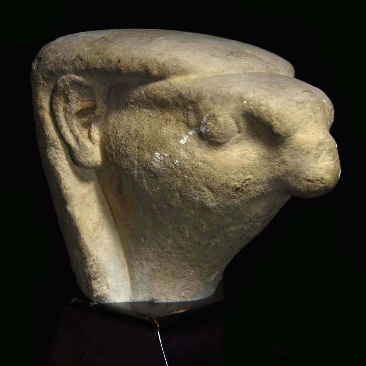 Egyptian limestone head of a falcon headed deity half right