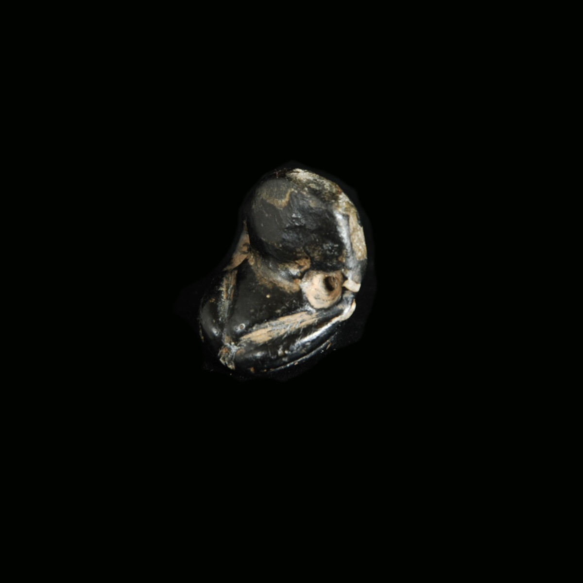 Neolithic black stone amulet of venus half left