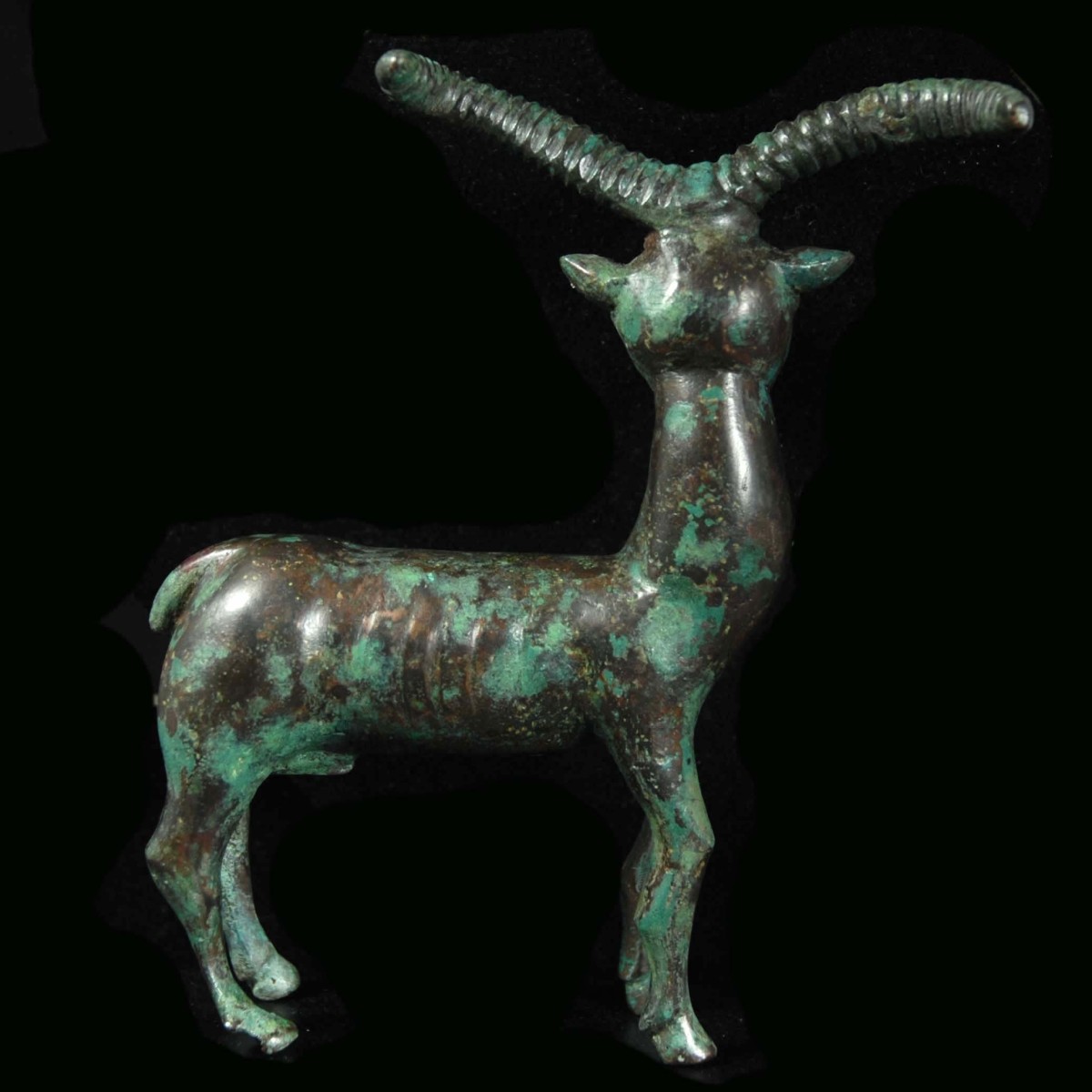 South Arabian bronze ibex back