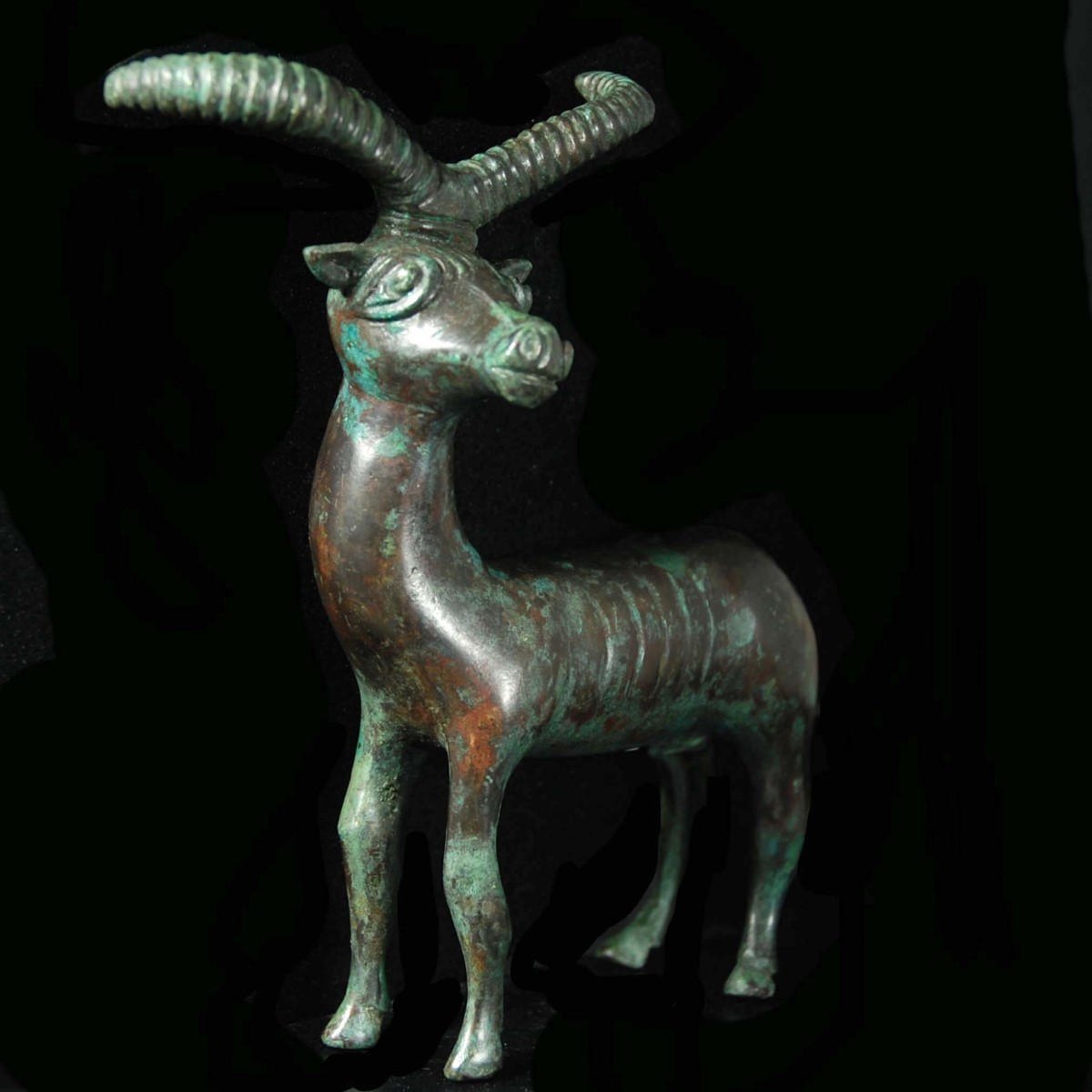 South Arabian bronze ibex half right