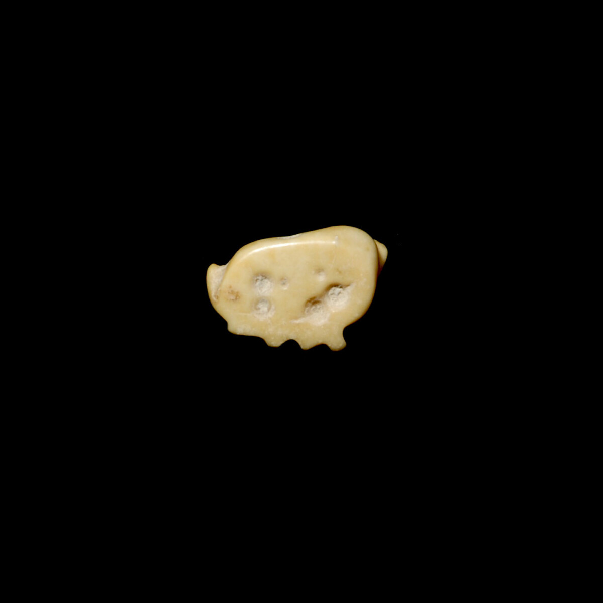 Jemdet Nasr marble seal of a cow back
