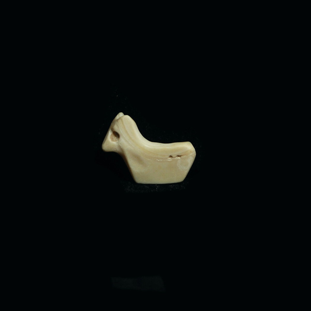 Sumerian shell amulet of a bovine