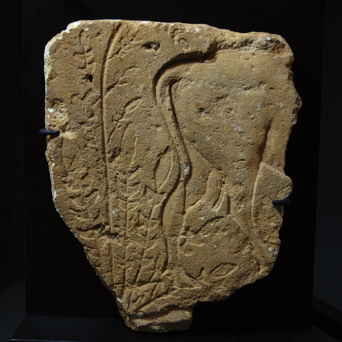 Egyptian Amarna limestone relief with plants
