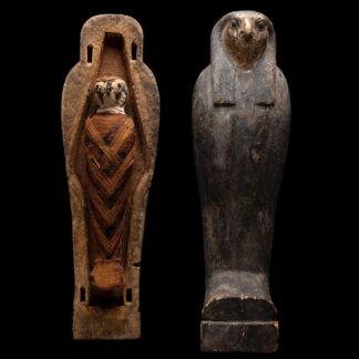 Wood Sarcophagus of a Falcon with the Belonging Falcon Mummy