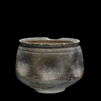 Indented Beaker