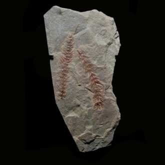 Works of Art under 1.000 Euro