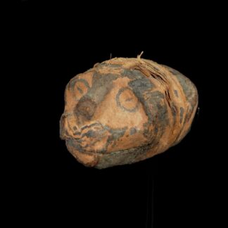 Head of a Cat Mummy