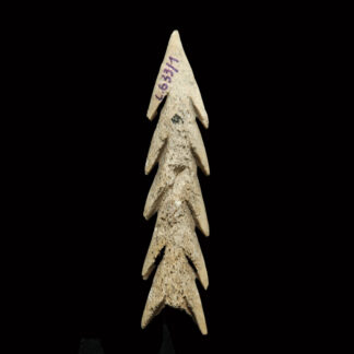 Palaeolithic Animal Bone Harpoon from the Cave Mas d’Azil