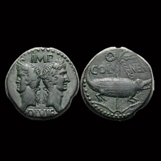 Nemausus As with Crowned Heads of Agrippa and Augustus